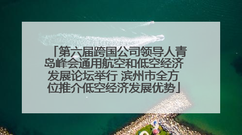 第六届跨国公司领导人青岛峰会通用航空和低空经济发展论坛举行 滨州市全方位推介低空经济发展优势