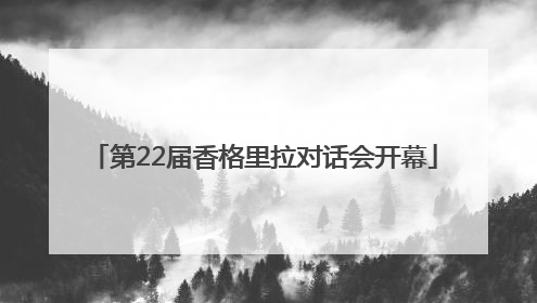 第22届香格里拉对话会开幕