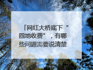 网红大桥底下“圈地收费”，有哪些问题需要说清楚｜新京报快评