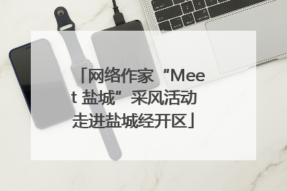 网络作家“Meet 盐城”采风活动走进盐城经开区