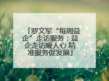 罗文军“每周益企”走访服务：益企走访暖人心 精准服务促发展