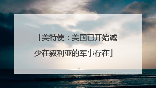 美特使：美国已开始减少在叙利亚的军事存在