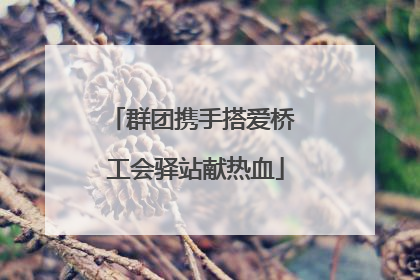 群团携手搭爱桥 工会驿站献热血