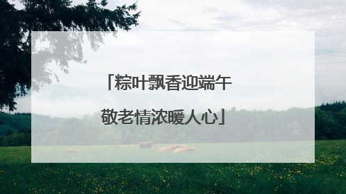 粽叶飘香迎端午 敬老情浓暖人心