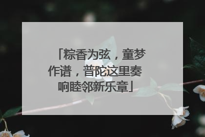 粽香为弦，童梦作谱，普陀这里奏响睦邻新乐章