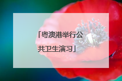粤澳港举行公共卫生演习