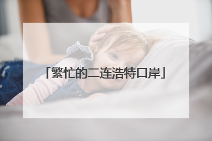 繁忙的二连浩特口岸