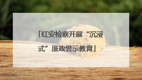红安检察开展“沉浸式”廉政警示教育