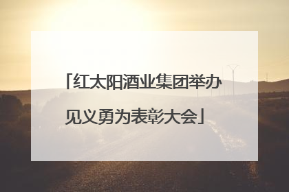 红太阳酒业集团举办见义勇为表彰大会