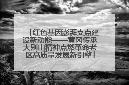 红色基因澎湃支点建设新动能——黄冈传承大别山精神点燃革命老区高质量发展新引擎