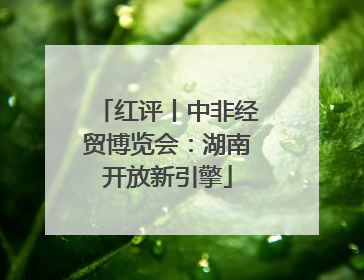 红评丨中非经贸博览会：湖南开放新引擎