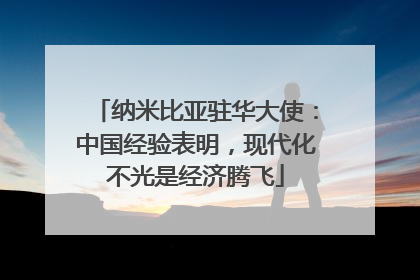 纳米比亚驻华大使：中国经验表明，现代化不光是经济腾飞