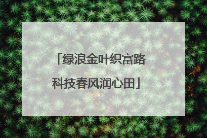 绿浪金叶织富路 科技春风润心田