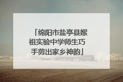 绵阳市盐亭县嫘祖实验中学师生巧手剪出家乡神韵