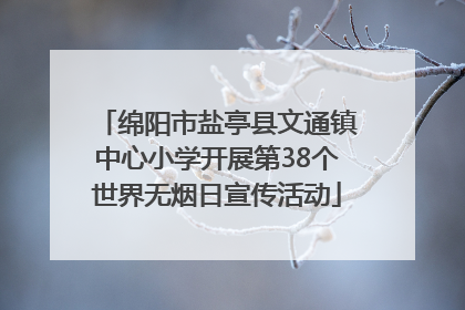 绵阳市盐亭县文通镇中心小学开展第38个世界无烟日宣传活动