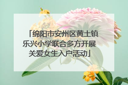 绵阳市安州区黄土镇乐兴小学联合多方开展关爱女生入户活动
