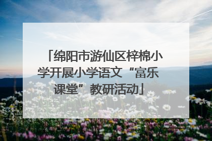 绵阳市游仙区梓棉小学开展小学语文“富乐课堂”教研活动