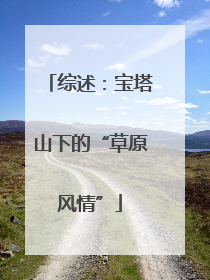 综述：宝塔山下的“草原风情”