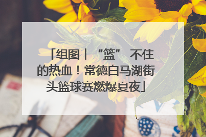 组图丨“篮” 不住的热血！常德白马湖街头篮球赛燃爆夏夜