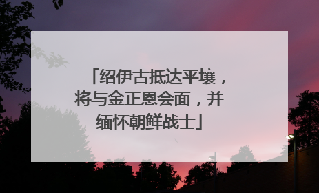 绍伊古抵达平壤，将与金正恩会面，并缅怀朝鲜战士