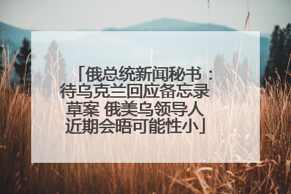 俄总统新闻秘书：待乌克兰回应备忘录草案 俄美乌领导人近期会晤可能性小