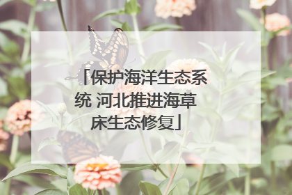 保护海洋生态系统 河北推进海草床生态修复