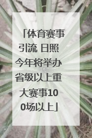 体育赛事引流 日照今年将举办省级以上重大赛事100场以上