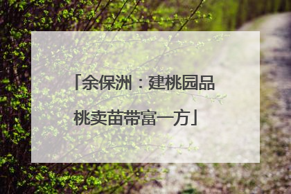 余保洲：建桃园品桃卖苗带富一方