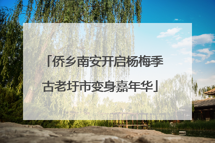侨乡南安开启杨梅季 古老圩市变身嘉年华