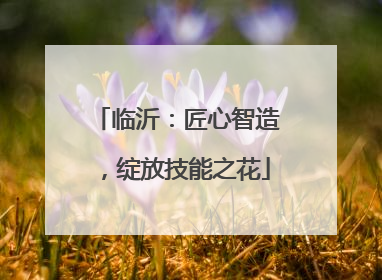 临沂：匠心智造，绽放技能之花