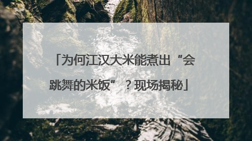为何江汉大米能煮出“会跳舞的米饭”？现场揭秘
