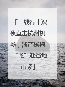 一线行丨深夜直击杭州机场，浙产杨梅“飞”赴各地市场