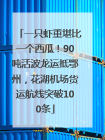 一只虾重堪比一个西瓜！90吨活波龙运抵鄂州，花湖机场货运航线突破100条