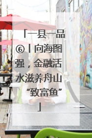 一县一品⑥丨向海图强，金融活水滋养舟山“致富鱼”