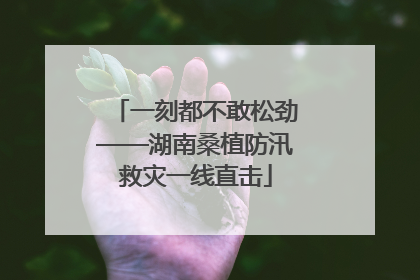 一刻都不敢松劲——湖南桑植防汛救灾一线直击