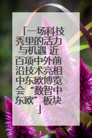 一场科技秀里的活力与机遇 近百项中外前沿技术亮相中东欧博览会“数智中东欧”板块