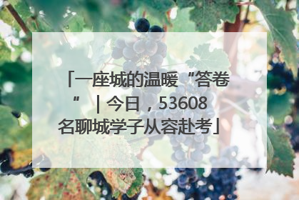 一座城的温暖“答卷”｜今日，53608名聊城学子从容赴考