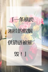 一条横跨湘桂的假烟供销链被摧毁！