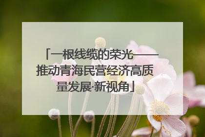 一根线缆的荣光——推动青海民营经济高质量发展·新视角