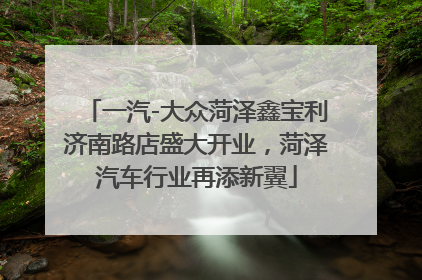 一汽-大众菏泽鑫宝利济南路店盛大开业，菏泽汽车行业再添新翼
