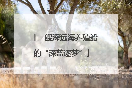 一艘深远海养殖船的“深蓝逐梦”