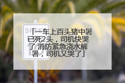 一车上百头猪中暑已死2头，司机快哭了 消防紧急浇水解暑，司机又哭了