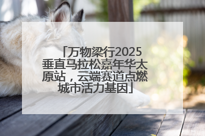 万物梁行2025垂直马拉松嘉年华太原站，云端赛道点燃城市活力基因