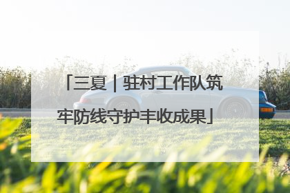 三夏｜驻村工作队筑牢防线守护丰收成果