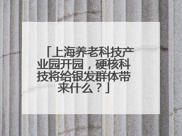 上海养老科技产业园开园，硬核科技将给银发群体带来什么？