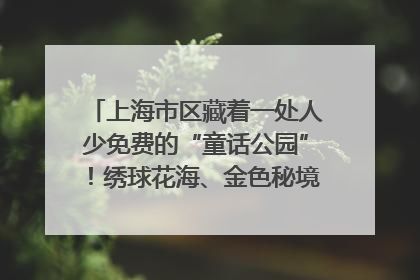 上海市区藏着一处人少免费的“童话公园”！绣球花海、金色秘境……地铁直达→