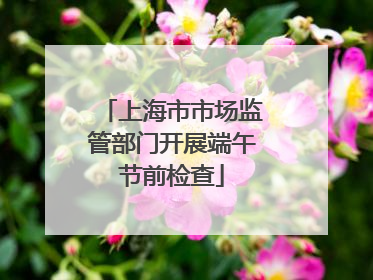 上海市市场监管部门开展端午节前检查