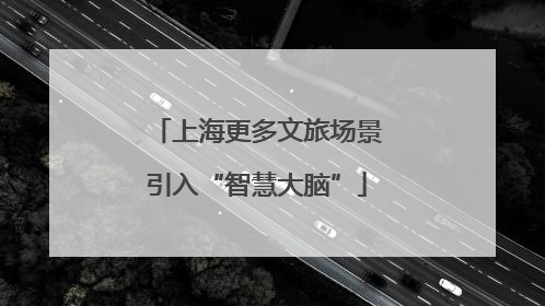上海更多文旅场景引入“智慧大脑”