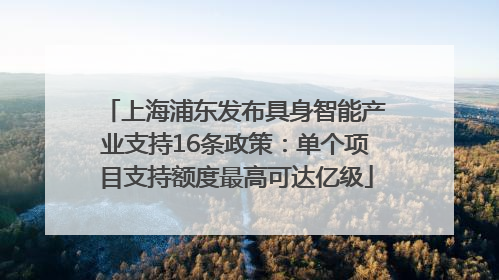 上海浦东发布具身智能产业支持16条政策：单个项目支持额度最高可达亿级