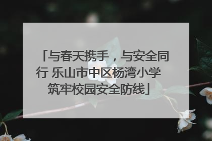 与春天携手，与安全同行 乐山市中区杨湾小学筑牢校园安全防线